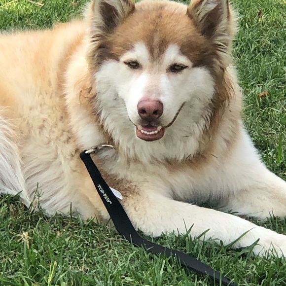 Meet your Posher, Maria - Picture 2 of 3